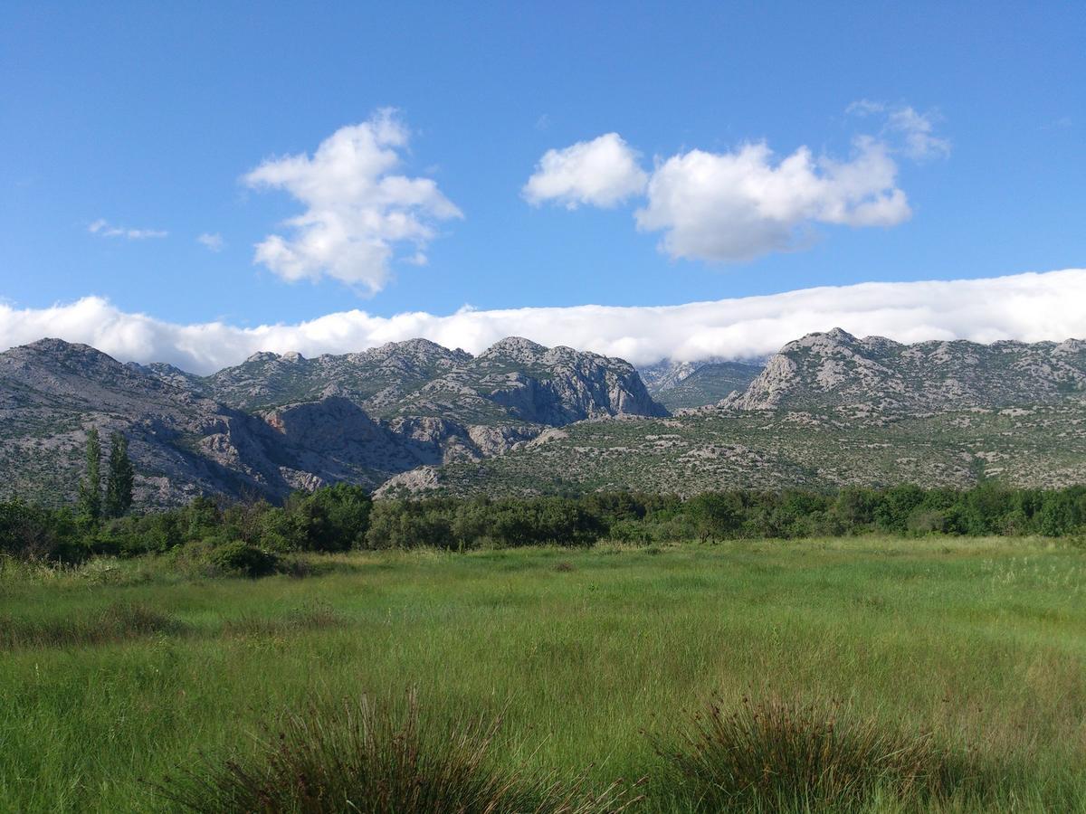 Amari Apartment Starigrad Paklenica Bagian luar foto